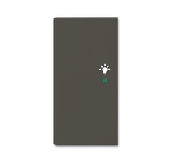SRL-2-L-95 Клавиша двойная левая free@home, освещение, Basic 55, цвет chateau-black | 6220-0-0692 | 2CKA006220A0692 | ABB