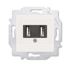 ABB Levit Жемчуг USB зарядка 2-ая | 5014H-A00040 68W | 2CHH290040A6068 | ABB