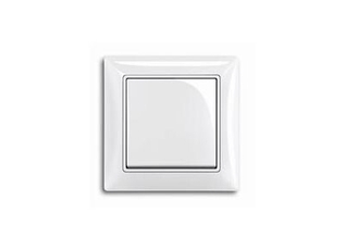 ABB Basic 55 Сл. кость Выключатель 2-клавишный с подсветкой | 1012-0-2157  | 2CKA001012A2157 | ABB