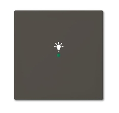 SRL-1-95 Клавиша одинарная free@home, освещение, Basic 55, цвет chateau-black | 6220-0-0687 | 2CKA006220A0687 | ABB