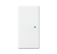 SR-2-94 Клавиша двойная free@home, Basic 55, цвет альпийский белый | 6220-0-0674 | 2CKA006220A0674 | ABB