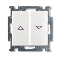 ABB Basic 55 Сл. кость Выключатель жалюзийный | 1012-0-2147 | 2CKA001012A2147 | ABB