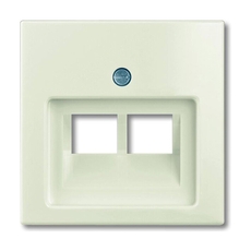 ABB Basic 55 Сл. кость Накладка 2-ой ТЛФ/комп розетки наклонной | 1753-0-0097 | 2CKA001753A0097 | ABB