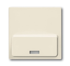 ABB Basic 55 Сл. кость Плата центральная (накладка)для механизма док-станции Busch-iDock 8218 U | 8200-0-0168 | ABB