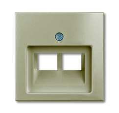 ABB Basic 55 Шампань Накладка 2-ой ТЛФ/комп розетки наклонной | 1753-0-0203 | 2CKA001753A0203 | ABB