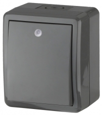 Выключатель с подсветкой IP54, 10АХ-250В, 11-1402-03, ОУ, Эксперт, серый (16) |Б0020672 | ЭРА