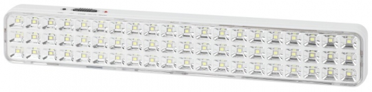 Светильник аварийного освещения светодиодный DBA-106-0-20 постоянный 60LED 6ч IP20 | Б0044399 | ЭРА