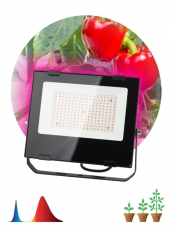 Прожектор светодиодный фито для растений красно-синий спектр FITO-100W-RB-LED | Б0046369 | ЭРА