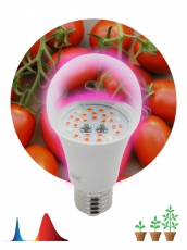 Светильник светодиодный для растений FITO-10W-RB-E27 | Б0050600 | ЭРА