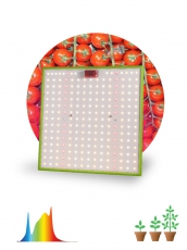 Фитопрожектор для растений светодиодный 80Вт FITO-80W-LED-QB Quantum board | Б0053285 | ЭРА