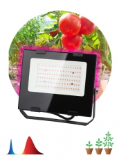 Прожектор светодиодный фито для растений красно-синий спектр FITO-50W-RB-LED | Б0046368 | ЭРА