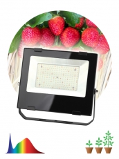 Прожектор светодиодный фито для растений FITO-100W-Ra90-LED для цветения и плодоношения (10/200) | Б0047876 | ЭРА