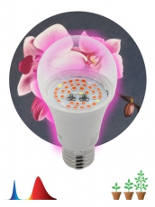 Светильник светодиодный для растений FITO-14W-RB-E27 | Б0050602 | ЭРА