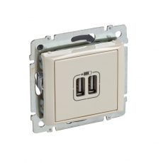 Valena Сл. кость Розетка 2-ая USB | 774170 | Legrand
