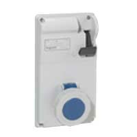 P17 Щит с блок. IP66 32A 230В 2К+З | 057229 | Legrand