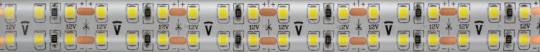 Лента светодиодная NLS-2835CW240-30-IP65-12V | 14464 | Navigator
