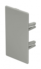 Торцевая заглушка кабельного канала WDK 60x110 мм (ПВХ,серый) (WDK HE60110GR) | 6022588 | OBO Bettermann