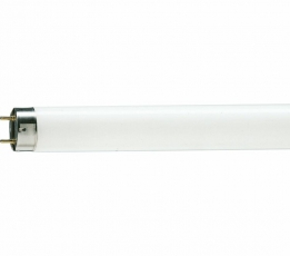 Лампа линейная люминесцентная MASTER TL-D 90 Graphica 36W/950 SL | 928044795081 | PHILIPS