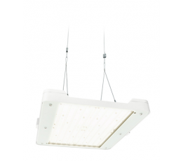 Светильник светодиодный промышленный BY481P LED250S/840 PSD MB GC WH | 910500465563 | Philips