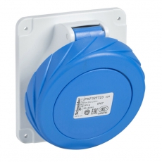 ПАНЕЛ РОЗ УГЛ ВИНТ 32А 3P-E 200-250 IP67 | PKF32F724 | Schneider Electric