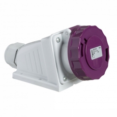 НАСТЕН РОЗ 16A 2P 20-25V IP67 | 82151 | Schneider Electric