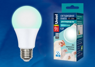 Лампа светодиодная LED-A60-9W/SCBG/E27/FR/DIM IP65 PLO65WH LED диммируемая для бройлеров. Спектр синий и зеленый | UL-00003190 | Uniel